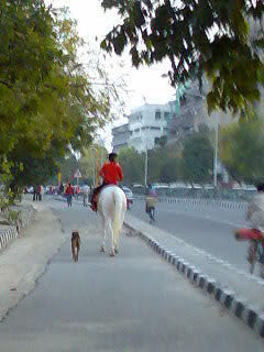 horse with friend